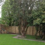 Turf Suppliers in Waterloo