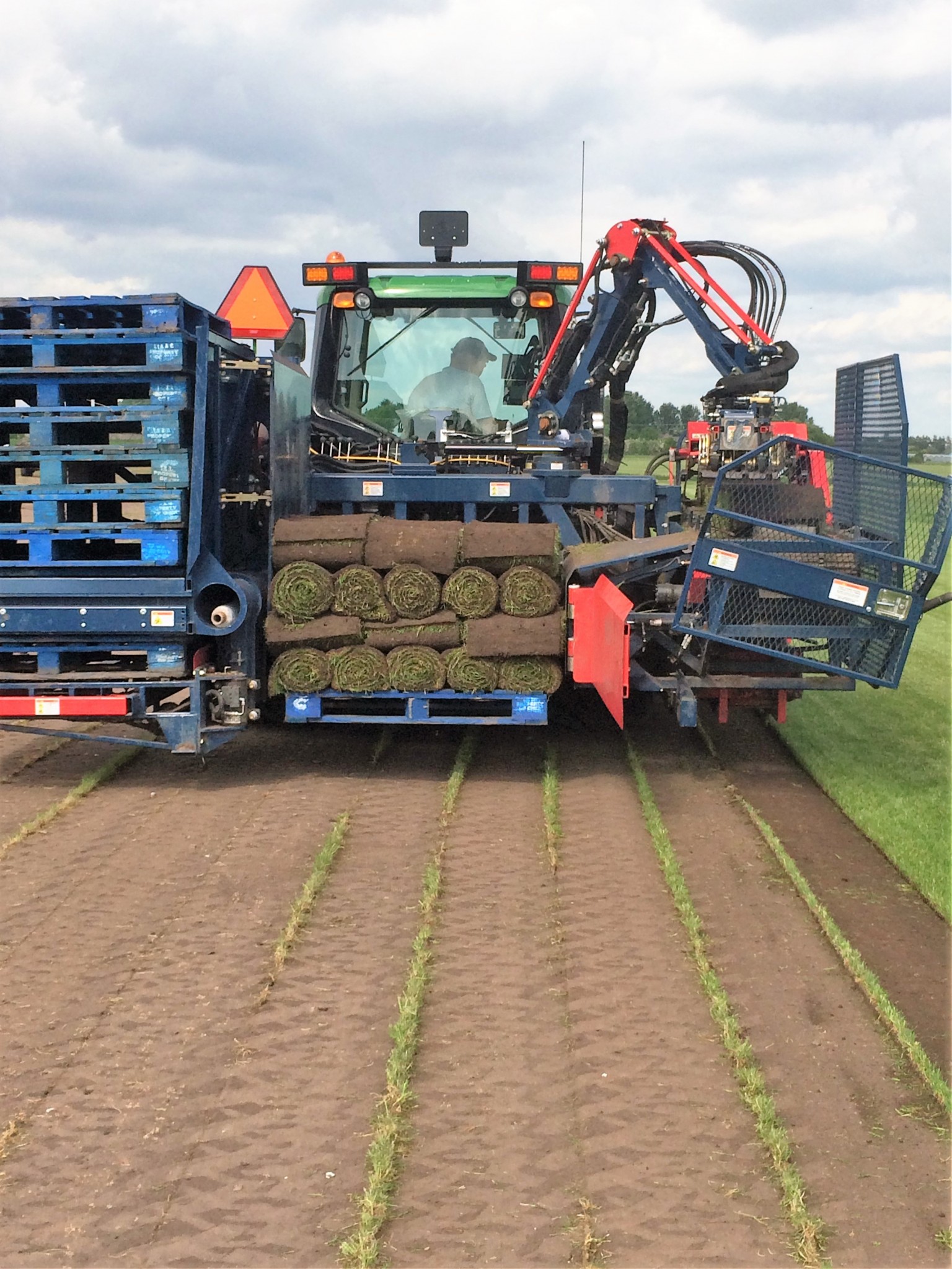 Buy Turf in Manchester