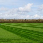Best Turf Prices in Rufford