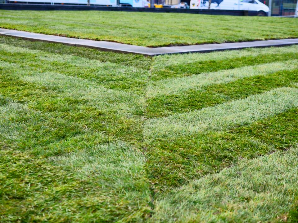 Turf Suppliers in Haskayne