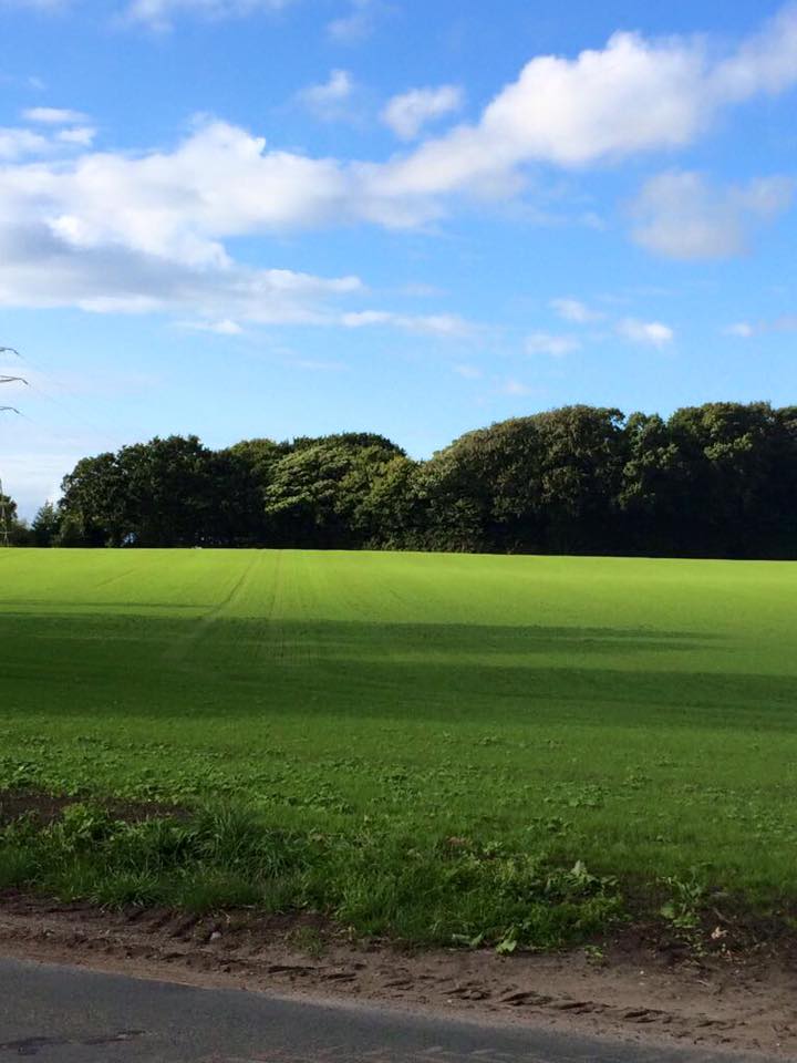 Best Turf Prices in Lathom Means Top Quality Turf From the Experts