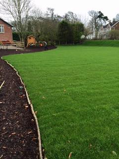 Best Turf Prices in Haskayne