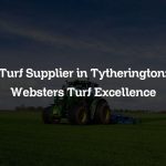 Turf Supplier in Tytherington: Websters Turf Excellence