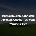 Turf Supplier in Adlington: Premium Quality Turf from Websters Turf