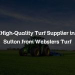 High-Quality Turf Supplier in Sutton from Websters Turf