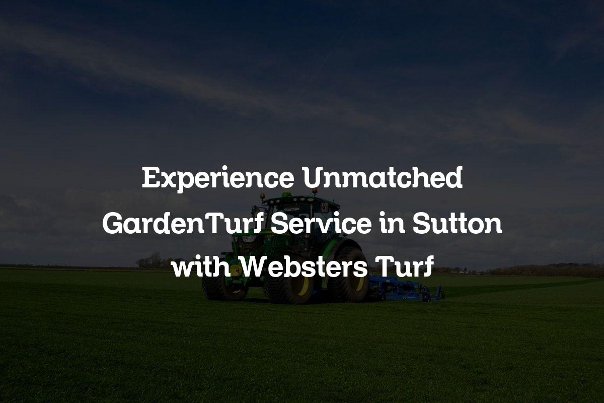 GardenTurf service in Sutton
