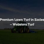 Premium Lawn Turf in Eccles – Websters Turf