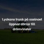 Lyckans trunk på casinoet öppnar dörrar till drömvinster