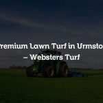 Premium Lawn Turf in Urmston – Websters Turf