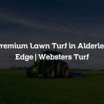 Premium Lawn Turf in Alderley Edge | Websters Turf