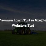 Premium Lawn Turf in Marple | Websters Turf