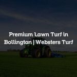 Premium Lawn Turf in Bollington | Websters Turf