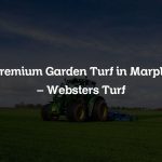 Premium Garden Turf in Marple – Websters Turf