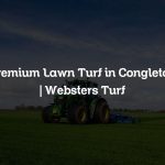 Premium Lawn Turf in Congleton | Websters Turf